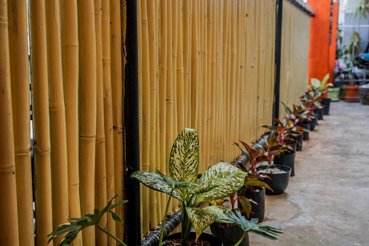 Chill Out Hostel Balabag  Екстериор снимка